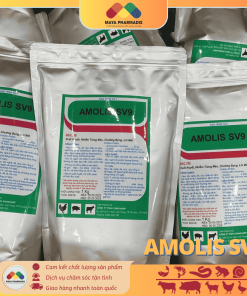 Alternative view of AMOLIS SV99 đặc trị xuất huyết, hoại tử trên gia súc, gia cầm và ĐVTS