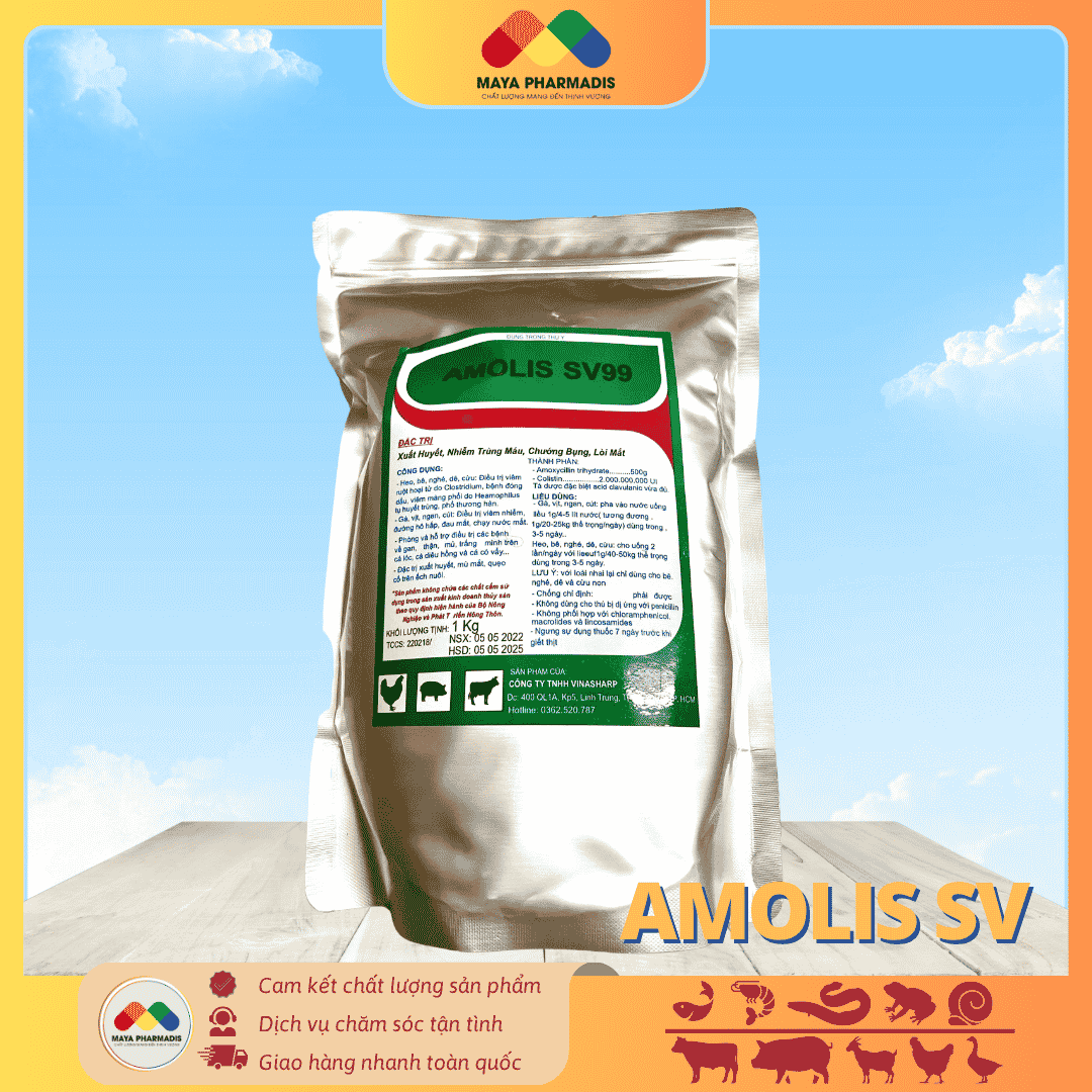 AMOLIS SV99 đặc trị xuất huyết, hoại tử trên gia súc, gia cầm và ĐVTS