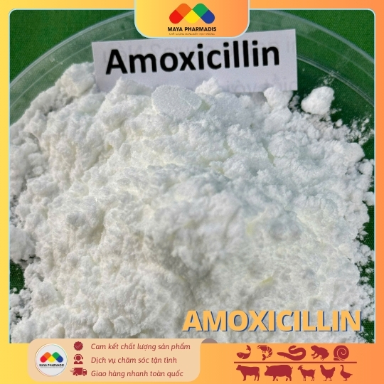 AMOXICILLIN 98%
