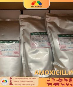Amoxicillin – Kháng Sinh Hiệu Quả Trong Nuôi Trồng Thủy Sản Và Chăn Nuôi