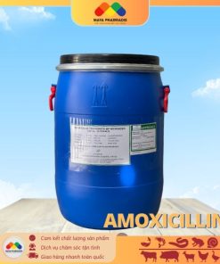 AMOXICILLIN Ấn