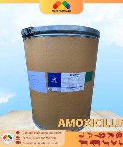 AMOXICILLIN NCPC nguyên liệu 98% thùng 25kg