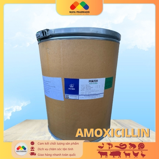 AMOXICILLIN NCPC nguyên liệu 98% thùng 25kg