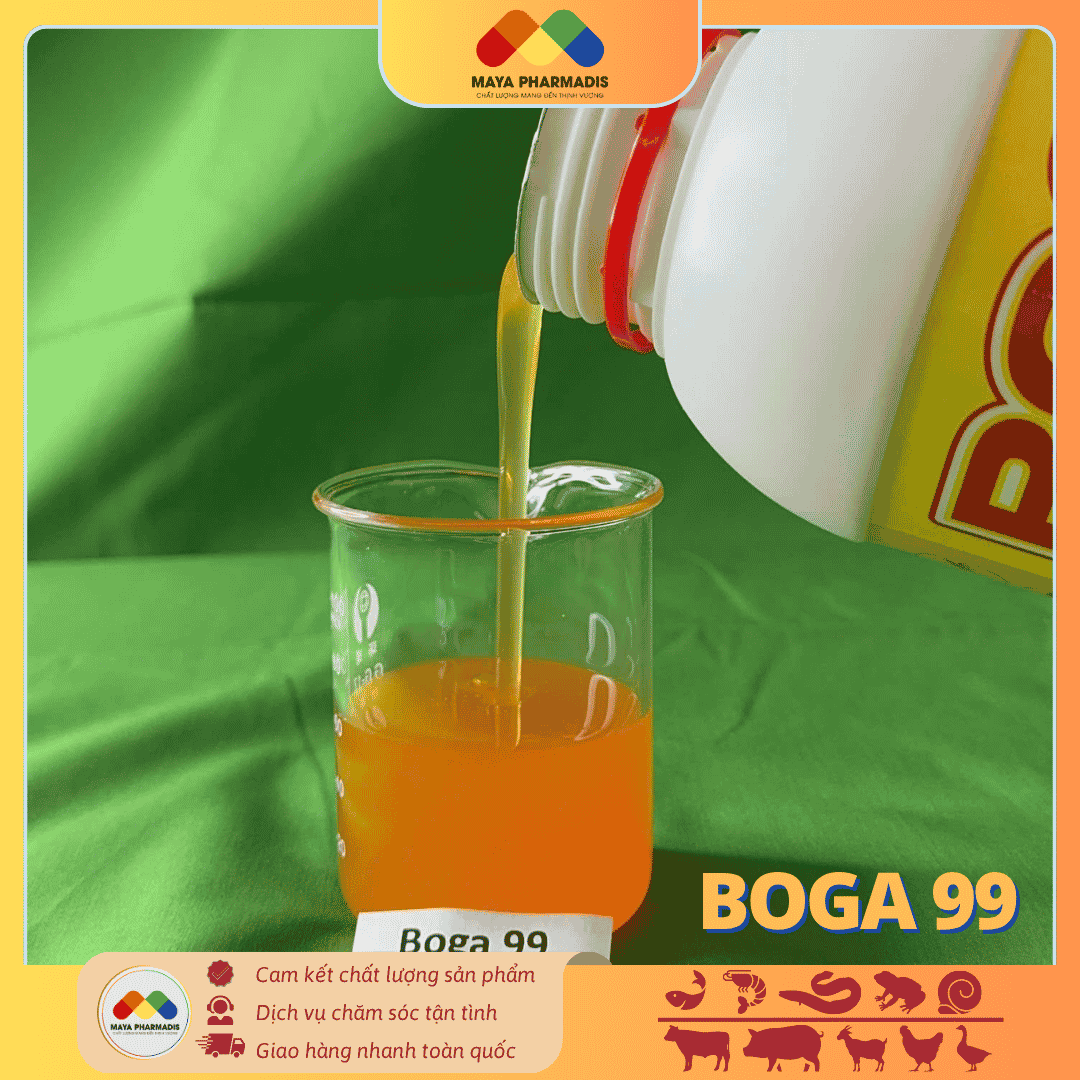 BOGA 99- Tái tạo tế bào gan, bổ gan, giải độc gan, hiệu quả trong việc giải độc kháng sinh, phục hồi cho tôm sau điều trị kháng sinh - Ảnh 4