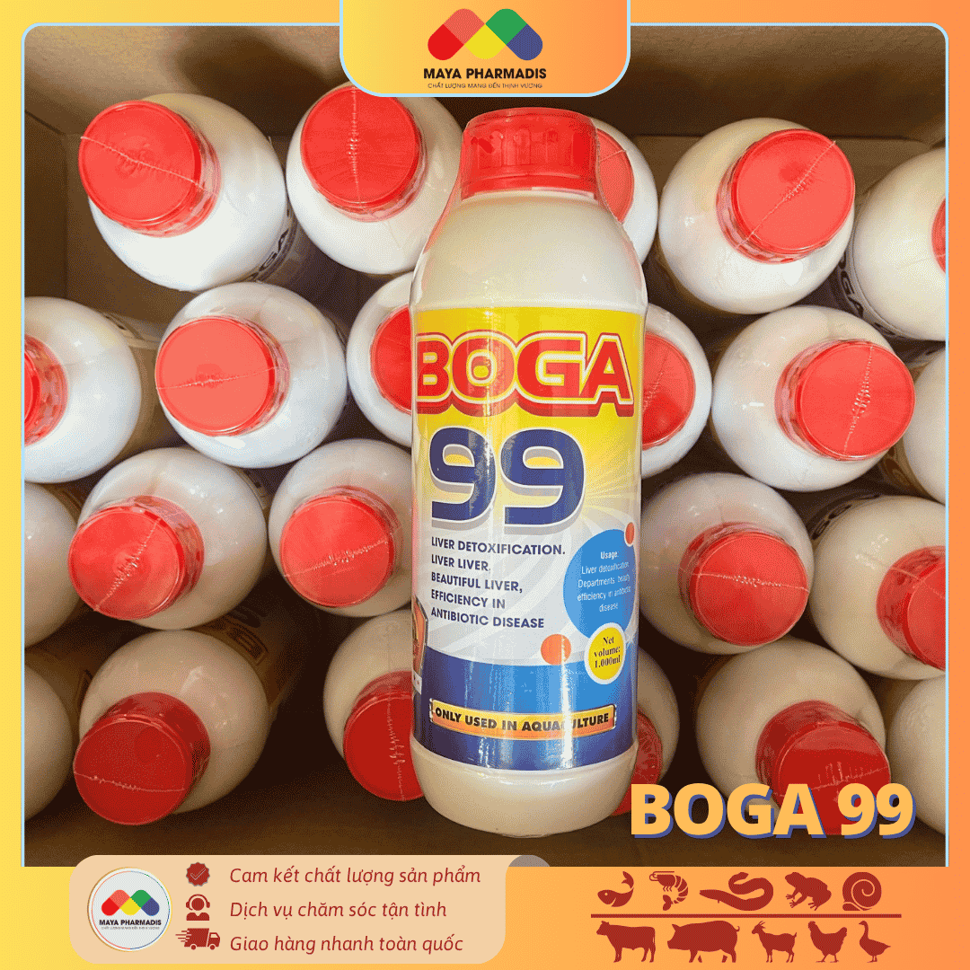 BOGA 99 - Combo ưu đãi mua 5 tặng 1 - Ảnh 2