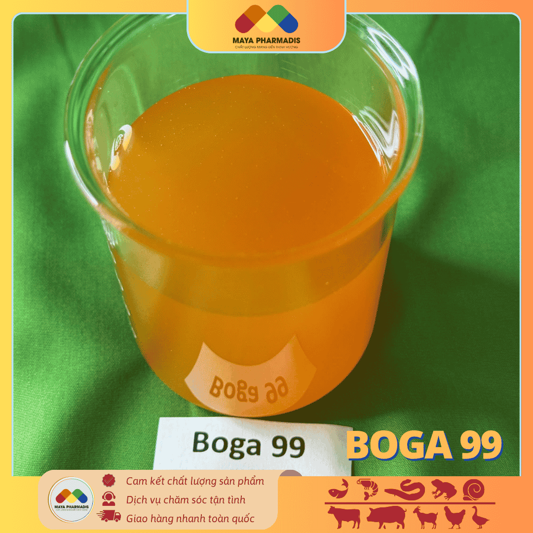 BOGA 99 - Combo ưu đãi mua 5 tặng 1 - Ảnh 3