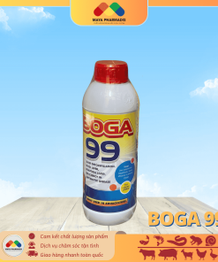 BOGA 99