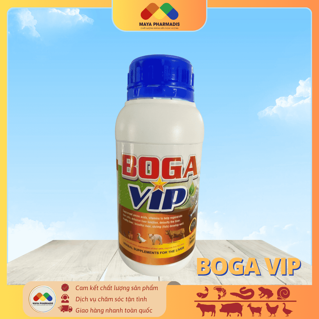 BOGA VIP