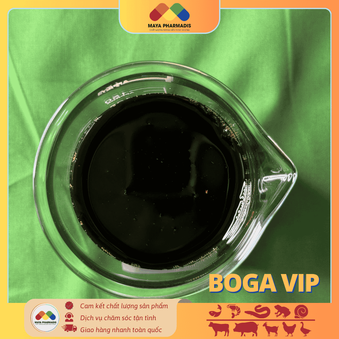 BOGA VIP giải độc giúp gan khoẻ đẹp, vật nuôi phát triển tốt - Ảnh 3