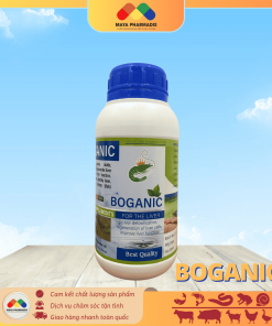 BOGANIC
