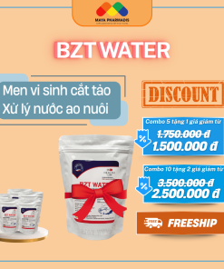 BZT WATER