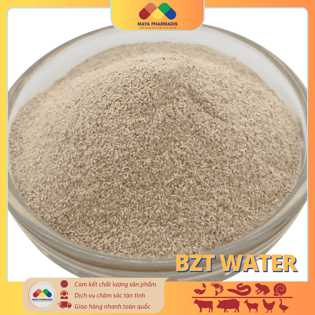 BZT WATER Vi sinh xử lý môi trường nước ao nuôi tôm, cá - Ảnh 2