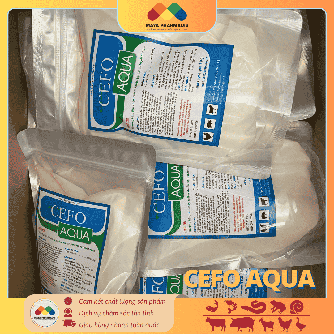 CEFO AQUA trị nhiễm khuẩn máu, các bệnh đường hô hấp trên gia súc gia cầm - Ảnh 2
