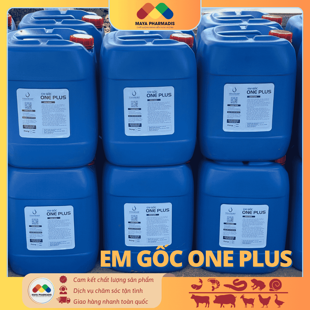 EM GỐC ONE PLUS Dung Dịch Vi Sinh Đậm Đặc - Ảnh 2