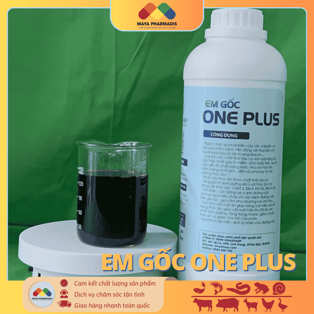 EM GỐC ONE PLUS Dung Dịch Vi Sinh Đậm Đặc - Ảnh 4