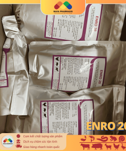 Alternative view of ENRO 20 đặc trị bệnh viêm phổi, hen khẹc, bạch lị trên gia cầm