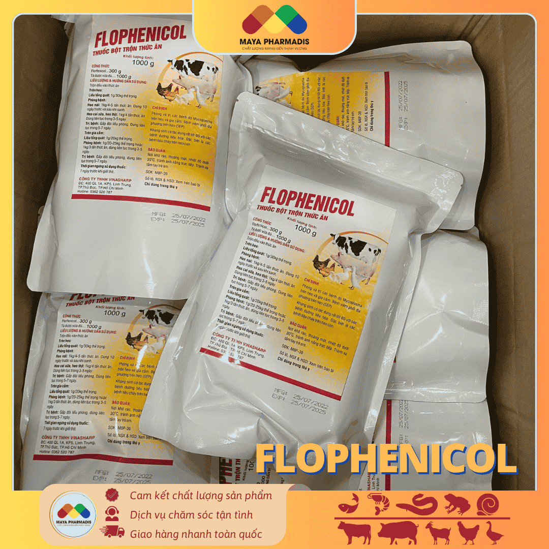 FLOPHENICOL – Phòng và trị các bệnh do Mycolasma trên heo và gia cầm - Ảnh 2