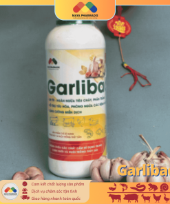 Alternative view of Garlibac Men Tỏi – Giải Pháp Hỗ Trợ Tiêu Hóa