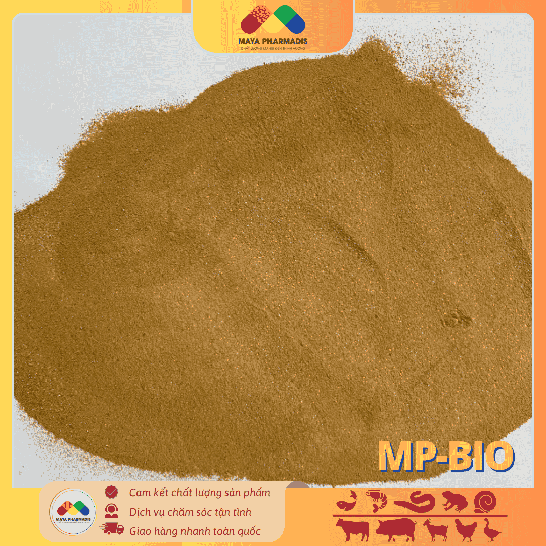 MP – BIO: Men vi sinh xử lý nước - Ảnh 2