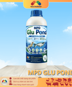 MPD GLU POND