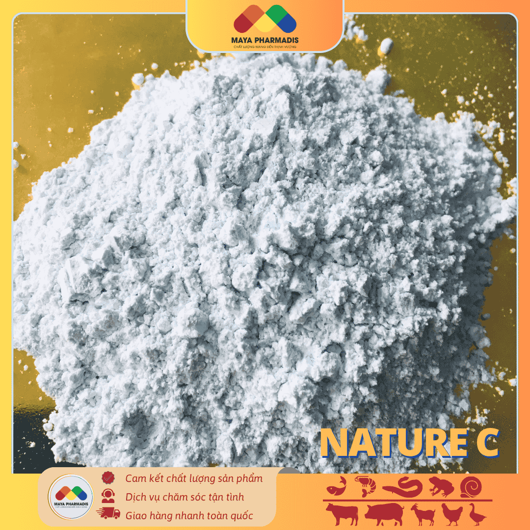 NATURE C – Vitamin C (5KG) tạt dùng trong thủy sản, thú y - Ảnh 3