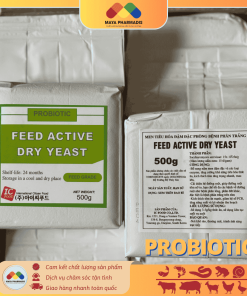 Alternative view of Probiotic – Feed Active Ty Yeast – Men tiêu hóa Hàn Quốc nong to đường ruột dùng cho thuỷ sản