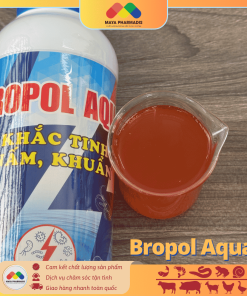 Alternative view of BROPOL AQUA – Khắc tinh nấm, khuẩn, ký sinh trùng và vi bào tử của chúng trong nước ao nuôi