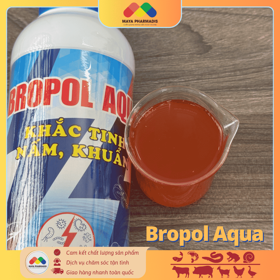 BROPOL AQUA – Khắc tinh nấm, khuẩn, ký sinh trùng và vi bào tử của chúng trong nước ao nuôi - Ảnh 2