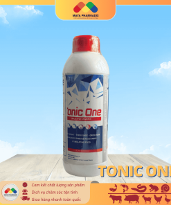 TONIC ONE