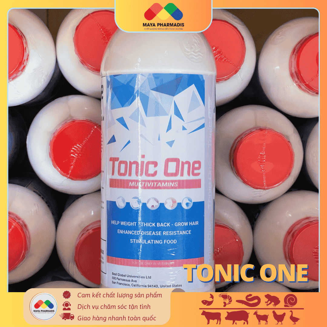 Tonic One - Vitamin tổng hợp - Ảnh 3