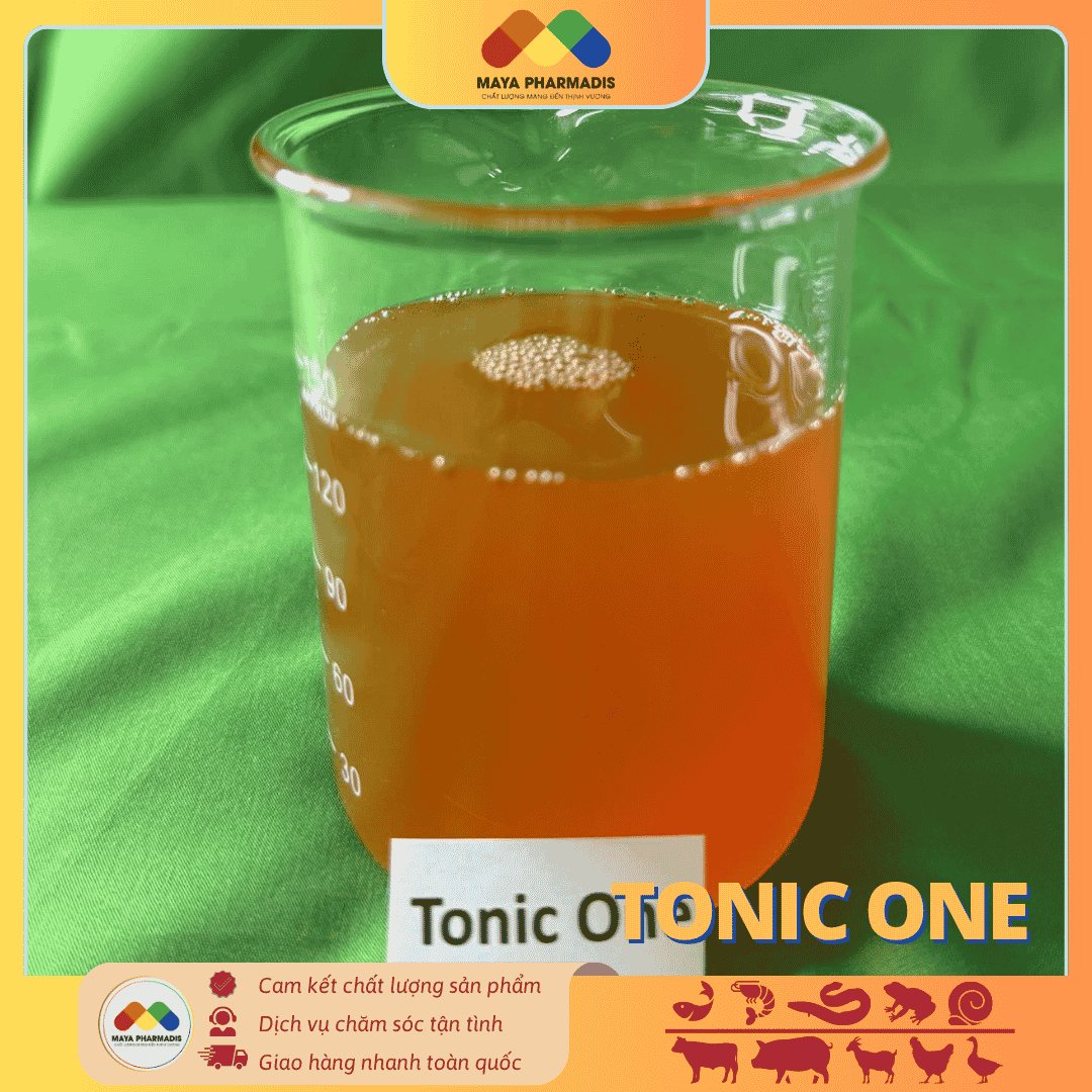 Tonic One - Vitamin tổng hợp - Ảnh 2