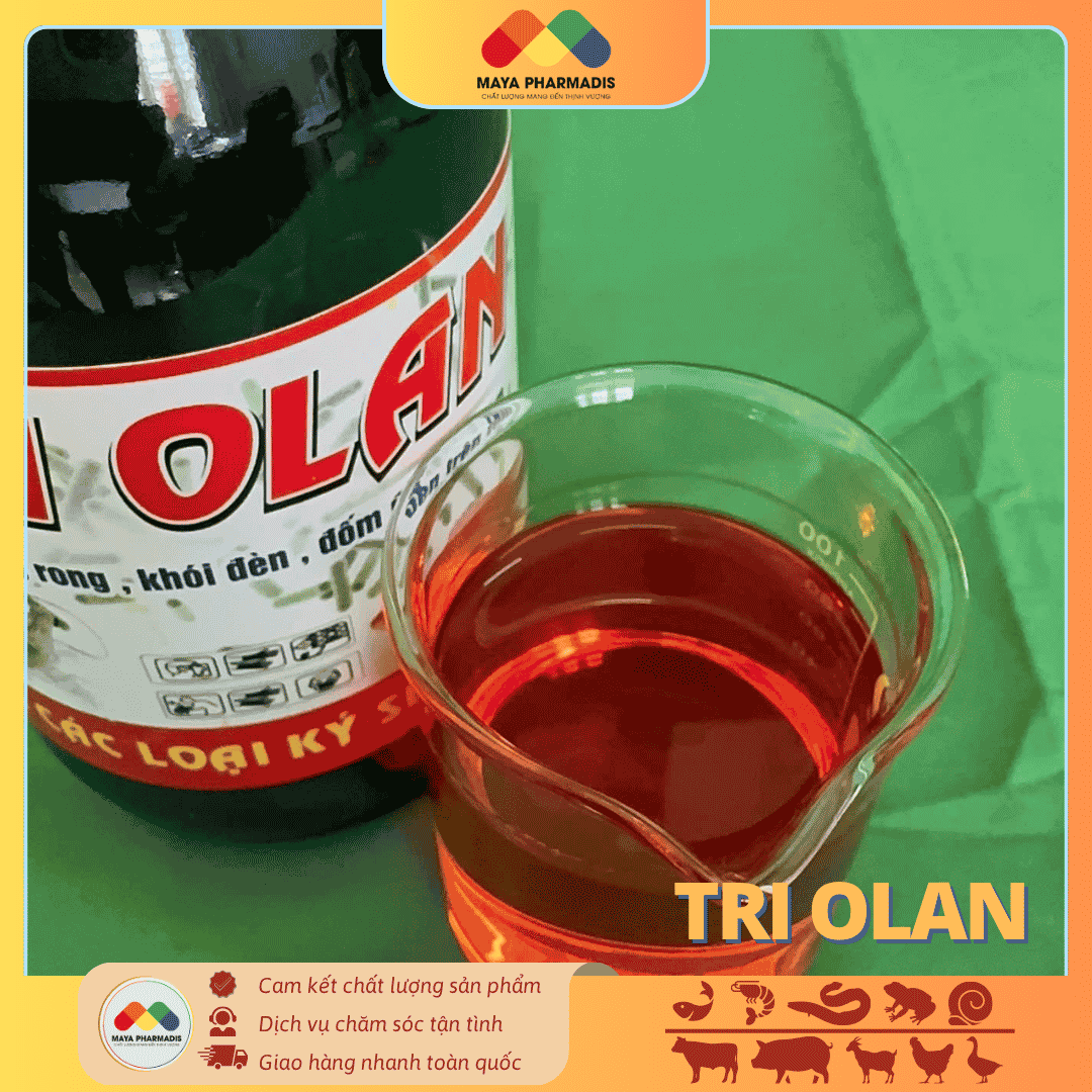 TRI OLAN – GIẢI PHÁP XỬ LÝ ĐÓNG RONG, KHÓI ĐÈN, ĐỐM ĐEN TRÊN TÔM - Ảnh 2