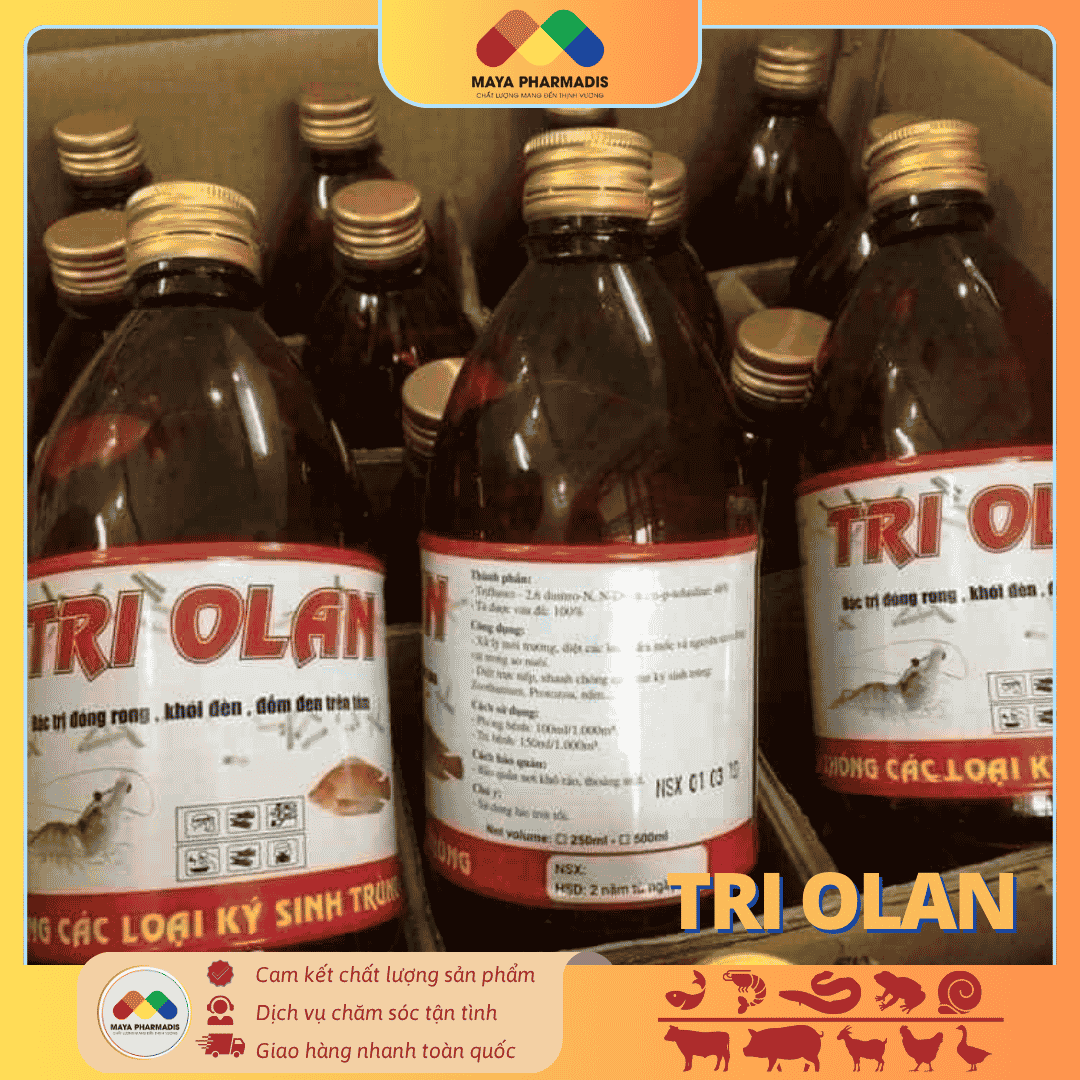 TRI OLAN – GIẢI PHÁP XỬ LÝ ĐÓNG RONG, KHÓI ĐÈN, ĐỐM ĐEN TRÊN TÔM - Ảnh 3