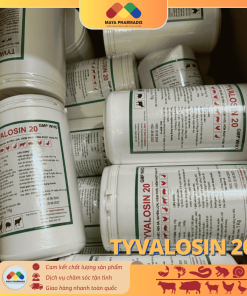 Alternative view of Tyvalosin 20 Đặc trị ORT, CRD ghép E.Coli, viễm khớp truyền nhiễm, viêm ruột hoại tử