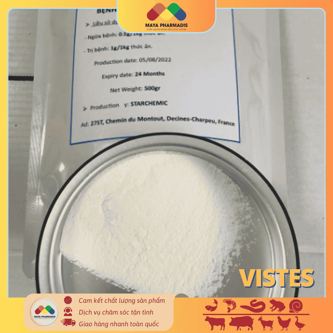 VISTES - Ảnh 2