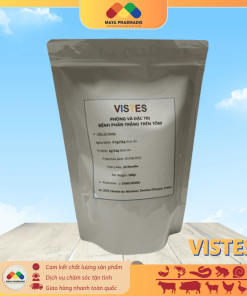 VISTES