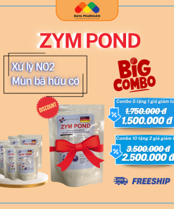 ZYM POND