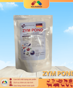 ZYM POND